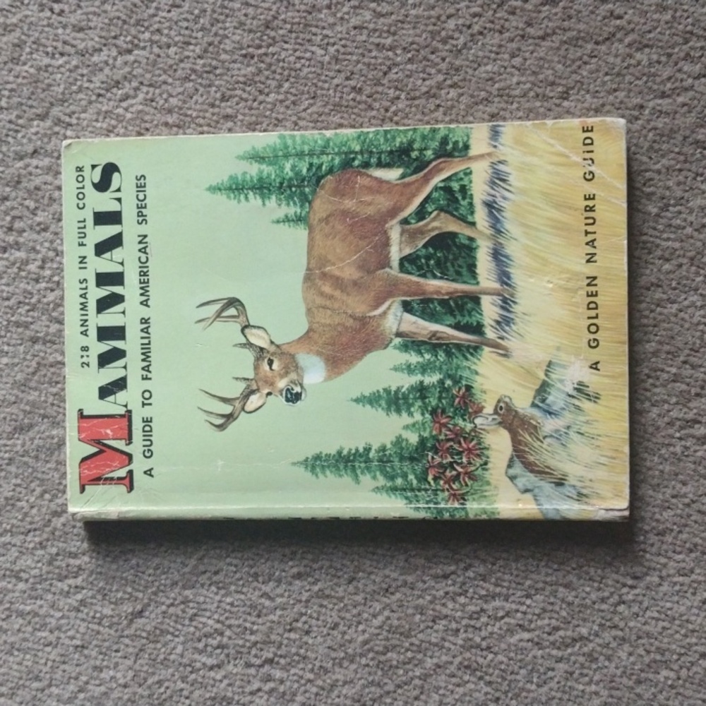 Vintage 1955 Mammals Guide book